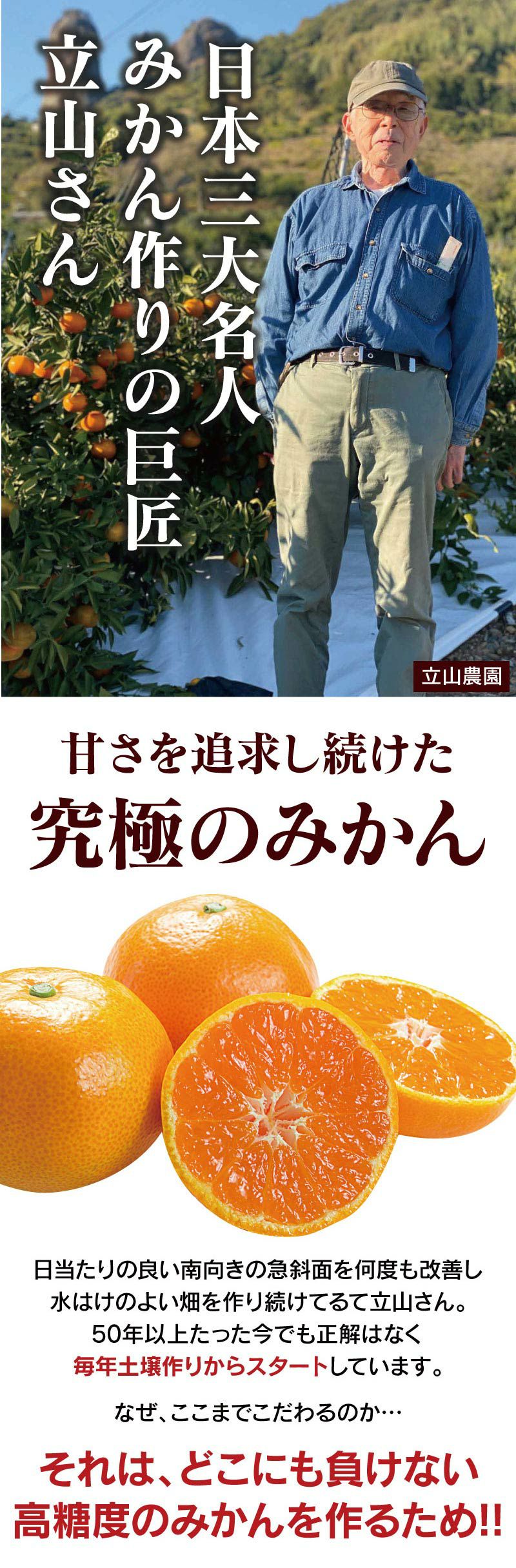 幻のとろこくみかん 3kg（25-35玉前後）立山農園さんの特選ミカン ＜12