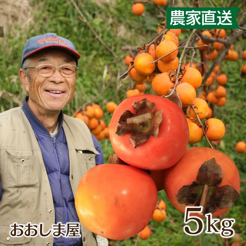 熊本県産 渋柿 5kg 送料無料（品種名：紅高瀬(べにたかせ)）＜11月上旬