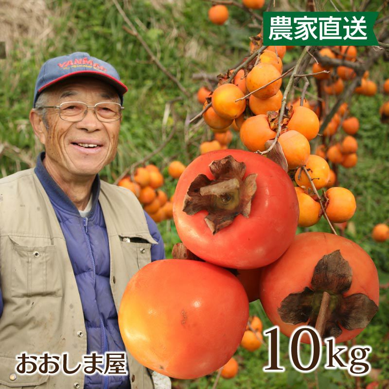 熊本県産渋柿　無農薬　数量限定　2025年は完売 秋の味覚！渋柿（干し柿用の柿をセットで） くろやなぎ農園 (長野県産