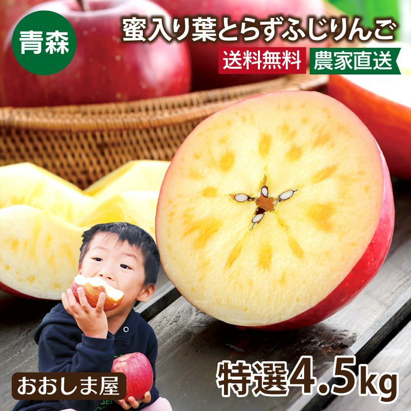 青森産 特選 蜜入り葉とらずふじりんご 4.5kg（12玉~16玉） ＜12月中旬