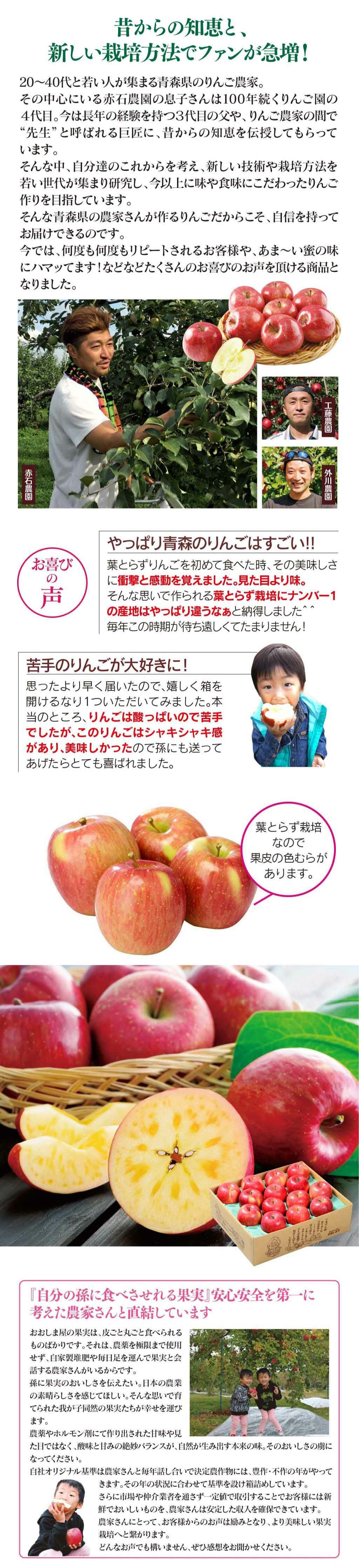 蜜入り葉とらずふじりんご