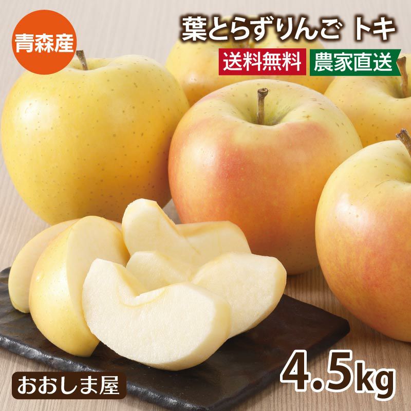 黄金のりんご トキ 4.5kg 約14～22玉 送料無料 青森産 とき 青りんご