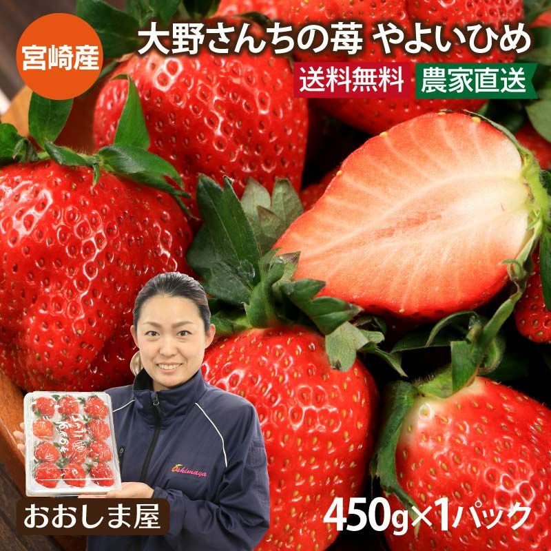 大野さんちの苺 やよいひめ 1パック（450g）＜1月上旬より順次出荷
