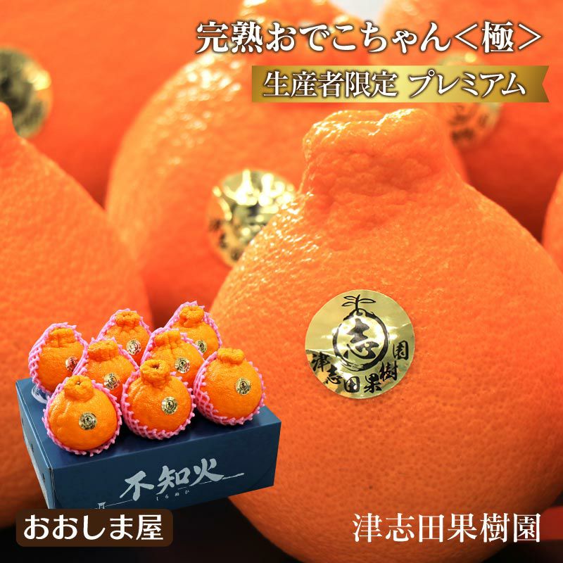 不知火完熟おでこちゃん-極み- 2.5kg 送料無料 ＜3月上旬より順次出荷