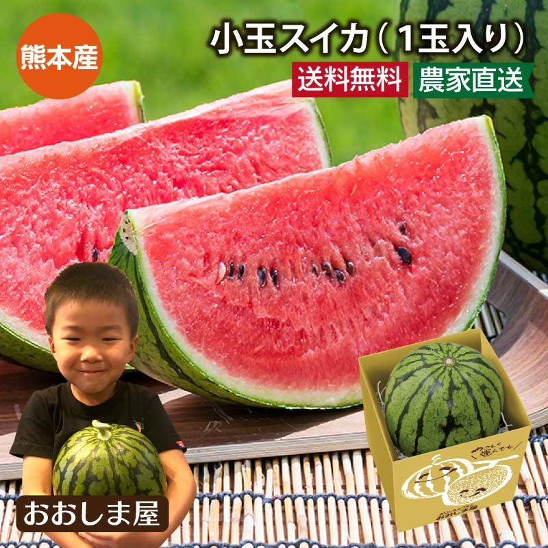高知県産スイカ大玉、即購入OK すいか ルナ・ピエナ 高級すいか 大玉約