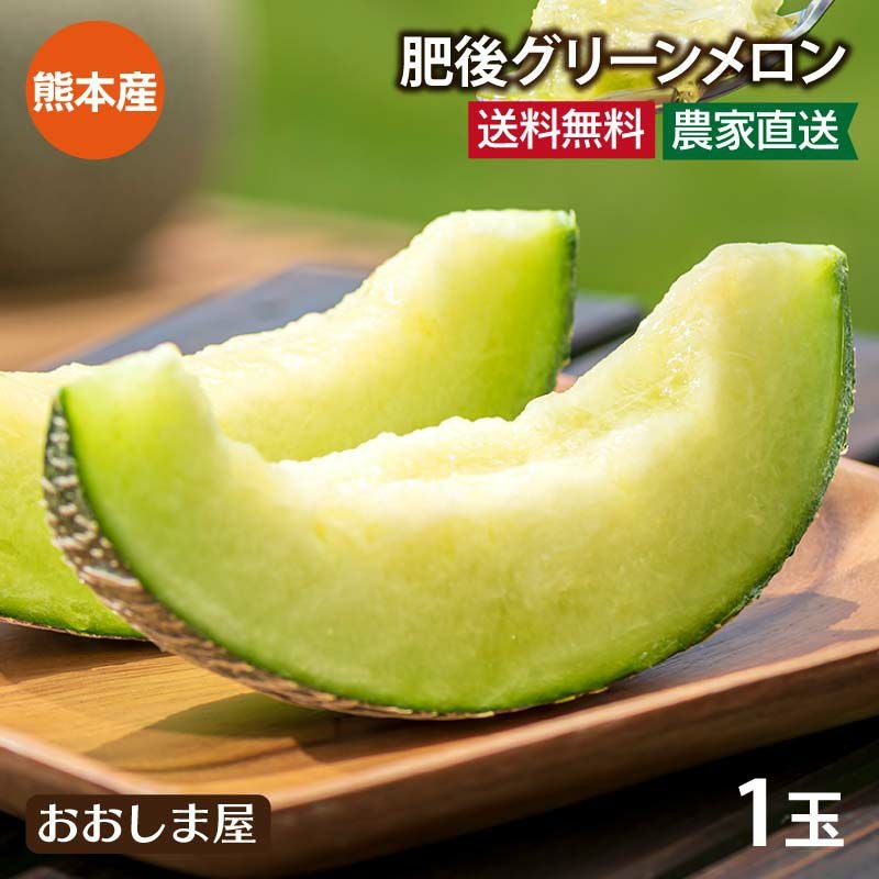 肥後グリーンメロン 1玉入り 熊本産 送料無料 ＜6月上旬より順次出荷