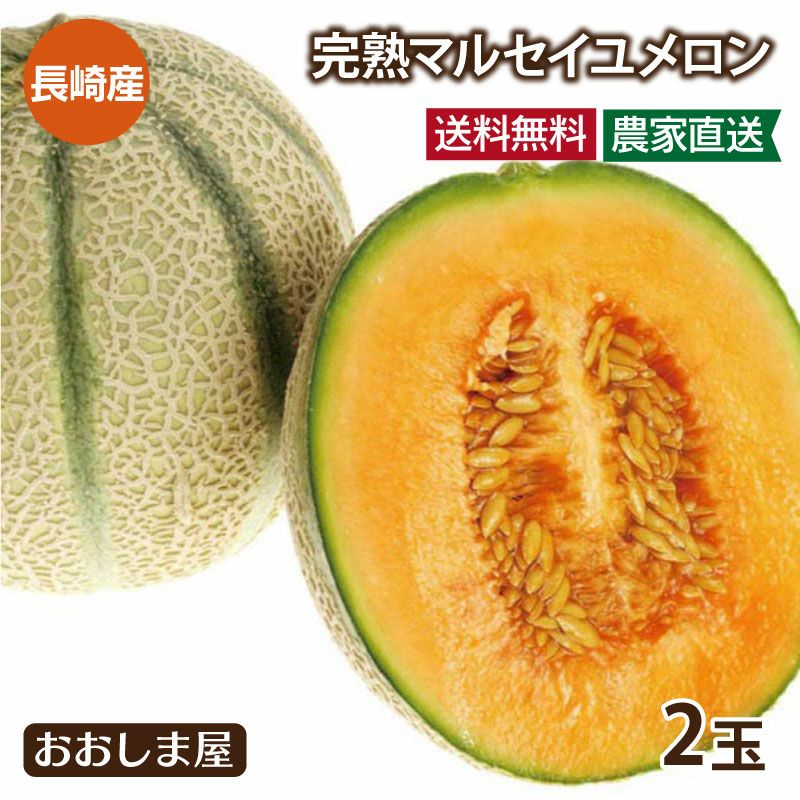 マルセイユメロン 送料無料 2玉入り赤肉 メロン 長崎産 島原 縞模様