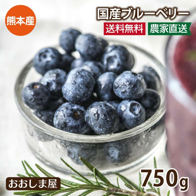 無農薬 生 ブルーベリー 送料無料（クール代込み） 国産 熊本産 農家