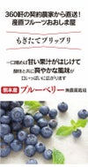 無農薬 生 ブルーベリー