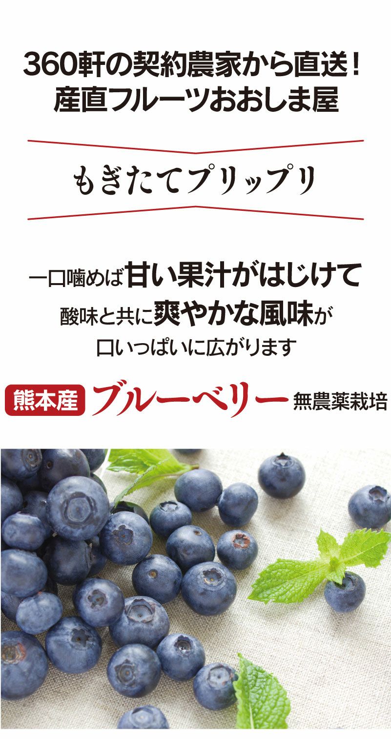 無農薬 生 ブルーベリー