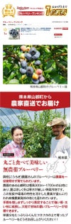 無農薬 生 ブルーベリー