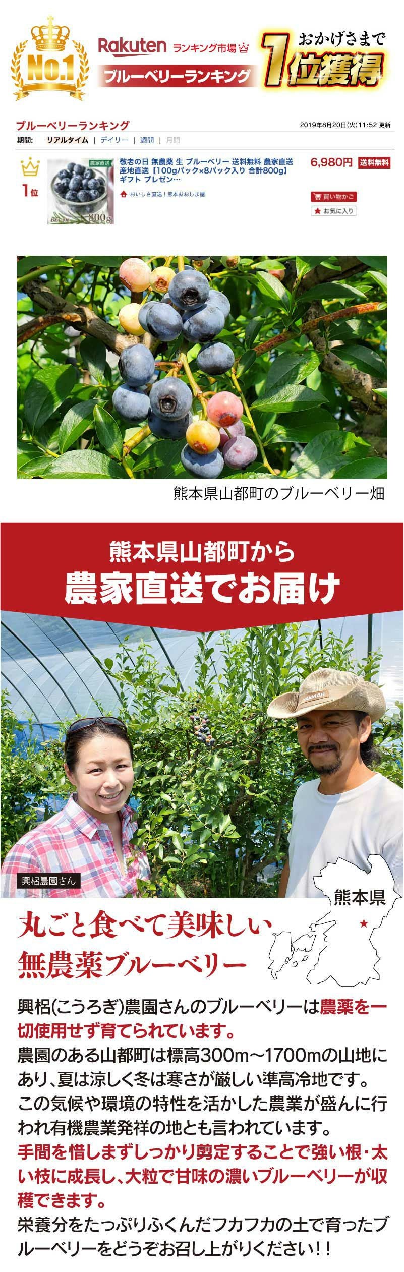 無農薬 生 ブルーベリー