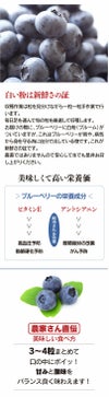 無農薬 生 ブルーベリー
