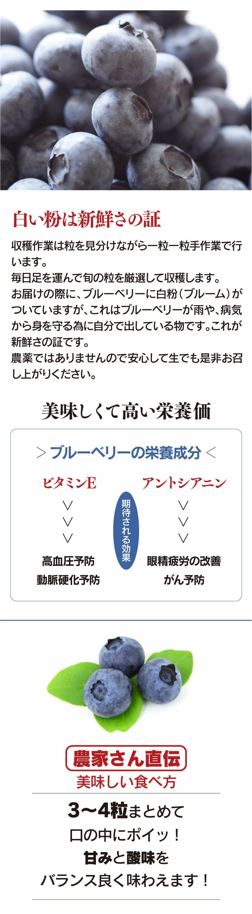 無農薬 生 ブルーベリー