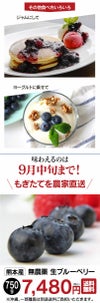 無農薬 生 ブルーベリー