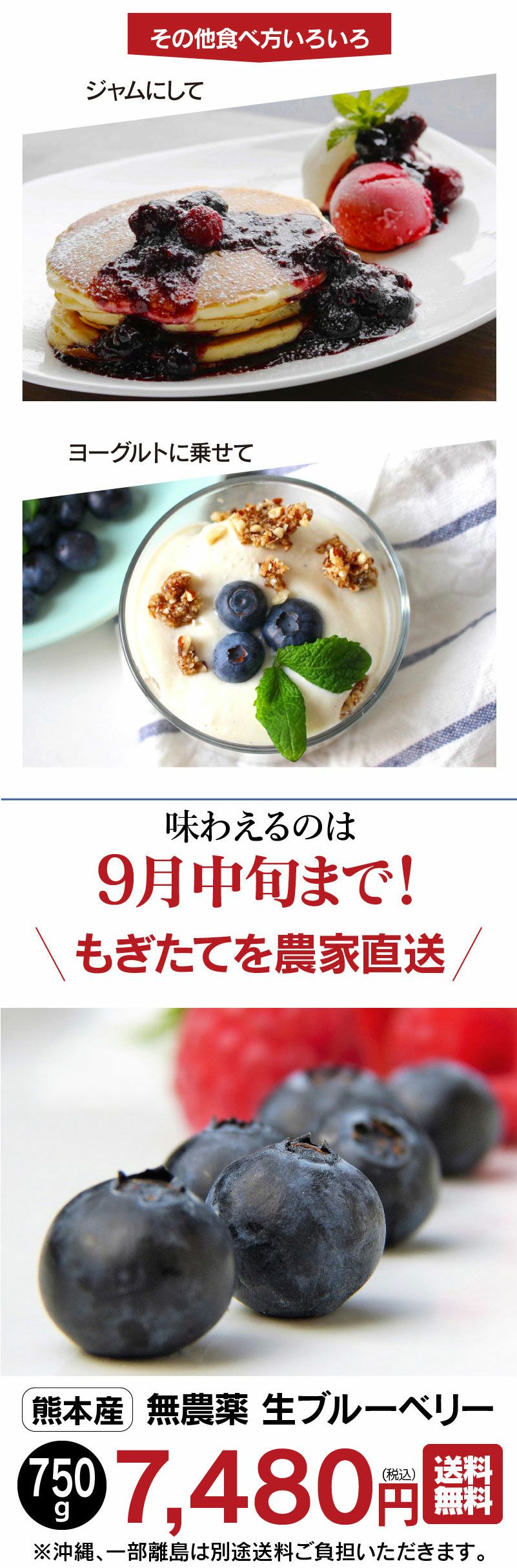 無農薬 生 ブルーベリー