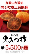 紀の川柿