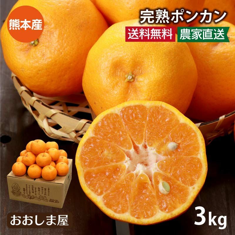 ポンカン 3kg 大小混合（30~40玉前後） 送料無料 ＜1月下旬より順次