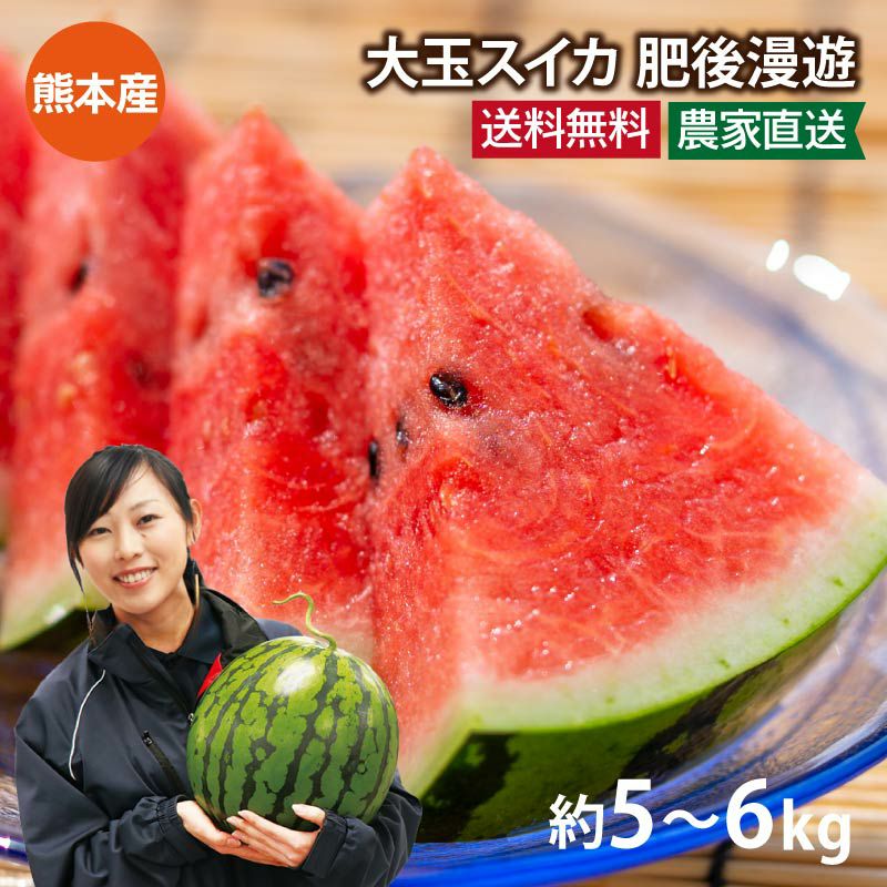 スイカ 肥後漫遊 1玉 約5kg M～Lサイズ 送料無料 ＜5月中旬より出荷