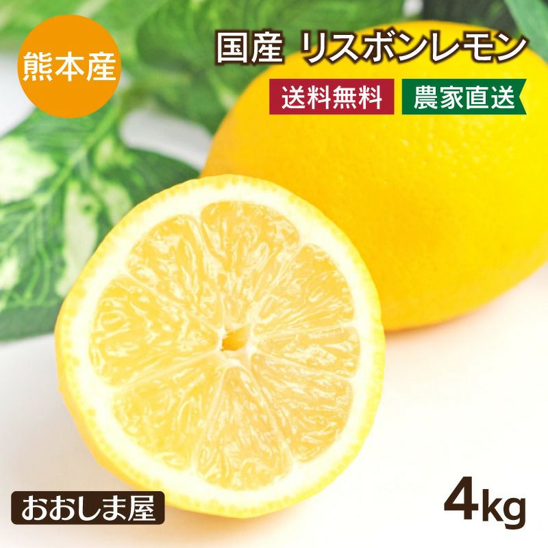 【ꕤ390】熊本県産 赤姫レモン 20kg（国産レモン） ꕤ390】熊本県産 赤姫レモン 20kg（国産レモン） 【公式通販】