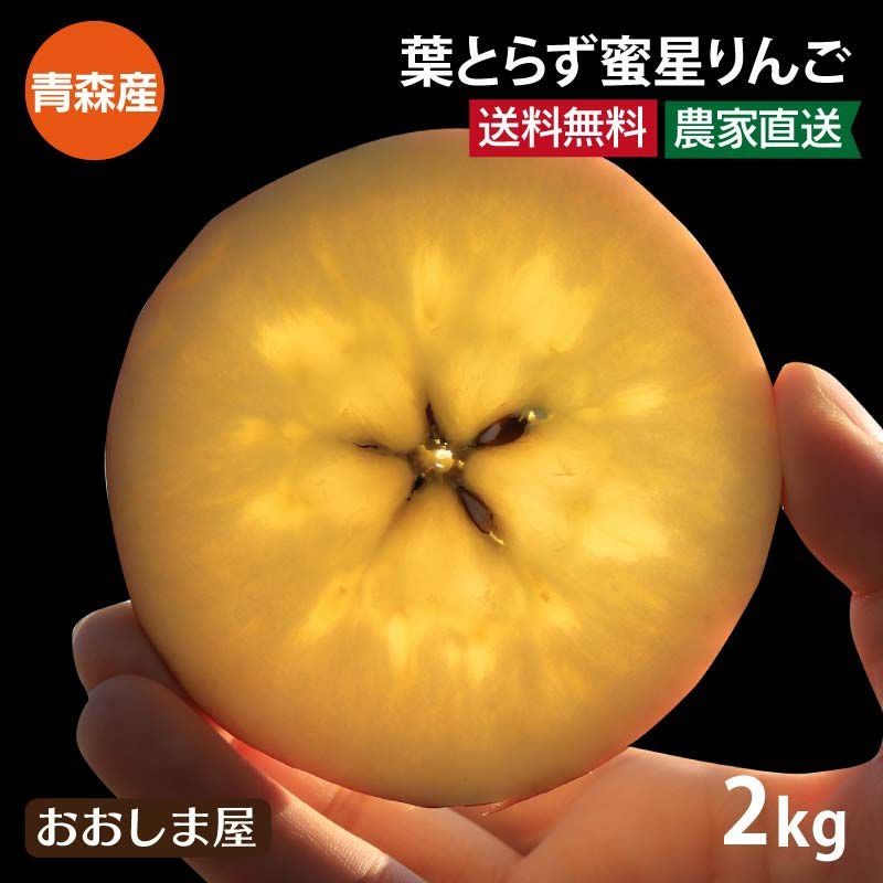 農家直送！青森県産⭐️高徳りんご　蜜りんご　数量限定‼️大きめ11個入り　残り２個♡ 究極の蜜入り 葉とらず蜜星りんご 2kg（8-12玉）品種名：高徳りんご