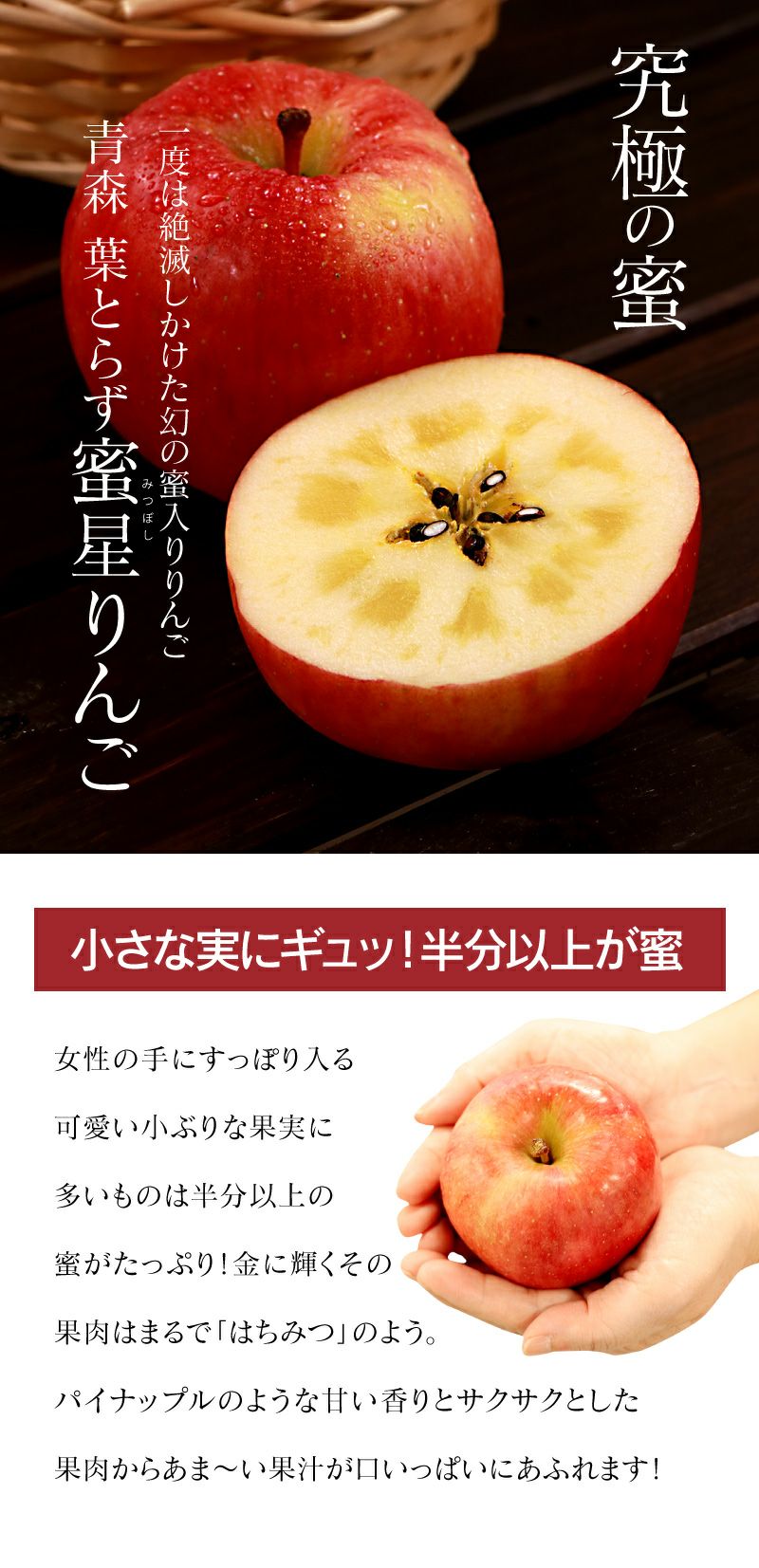000000000475-02.jpg?size=xs&w=