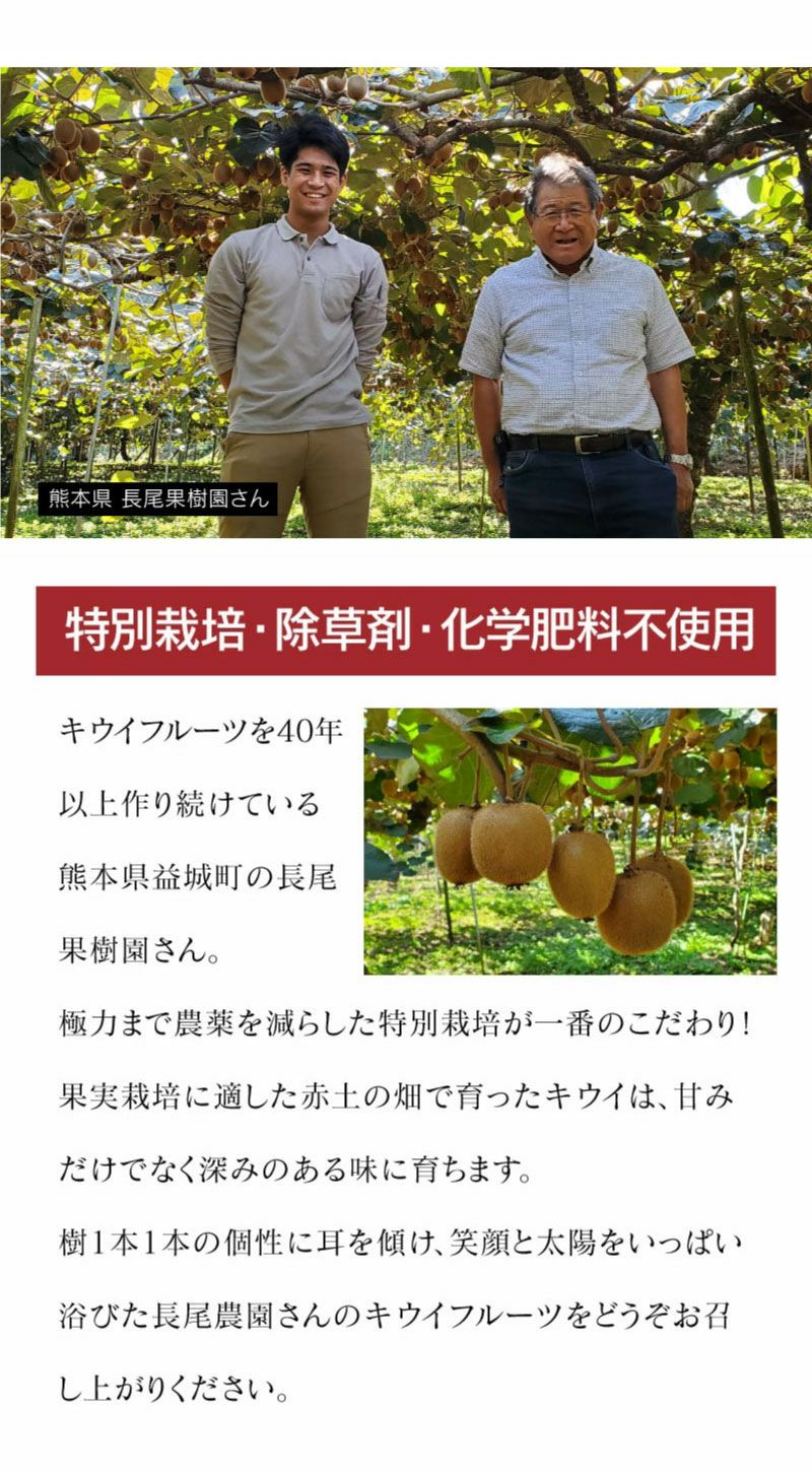 イエロークイーン