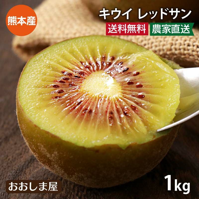 キウイ レッドサン 1kg(8-12玉) 送料無料 ＜10月中旬より順次出荷予定