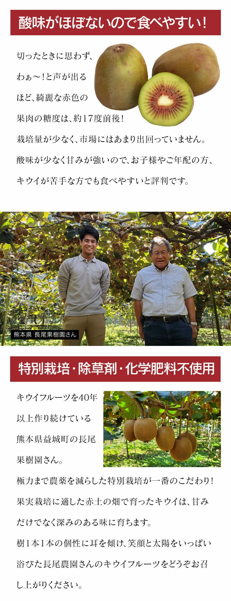 キウイ レッドサン