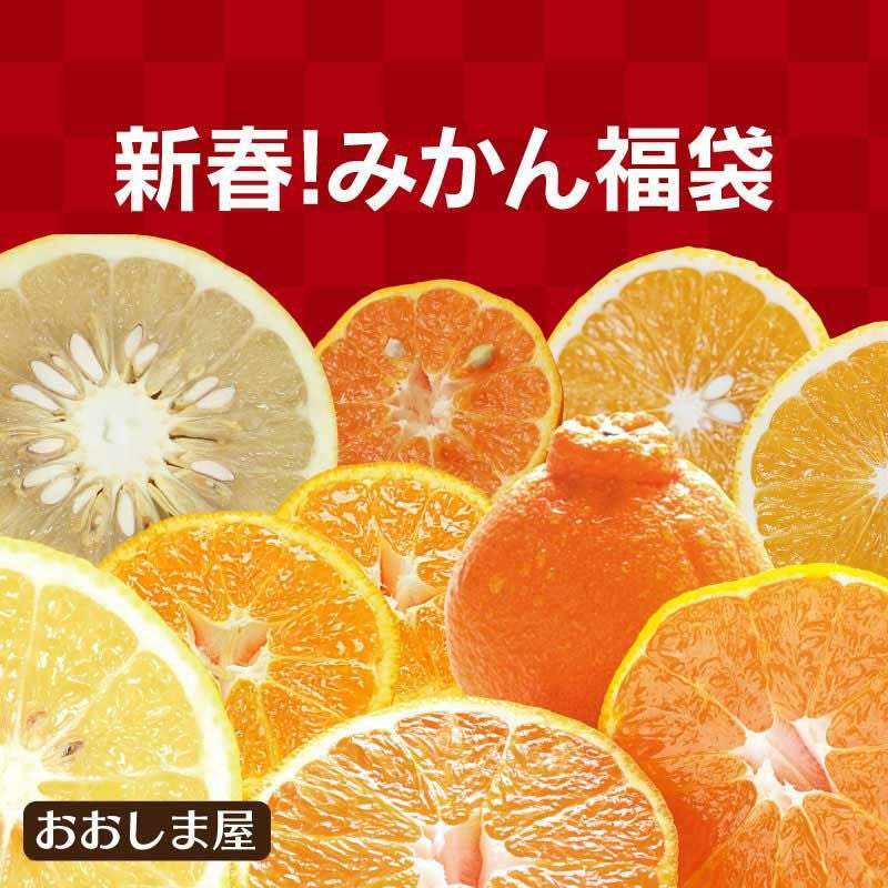 2026 新春！みかん福袋 おまかせ柑橘3種類 ＜2026年1月13日から16日