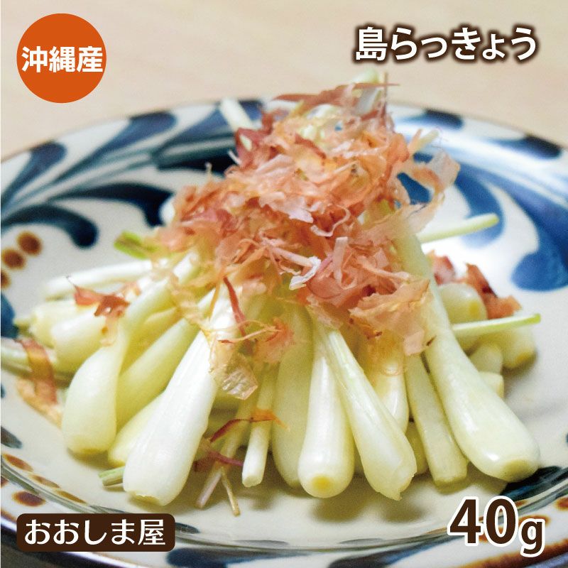 島らっきょう 塩漬け 1袋×40g 沖縄産 島野菜 沖縄特産 ＜送料別