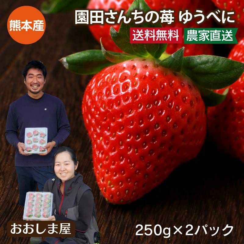 ゆうべに 熊本産 2パック ＜送料無料・クール代別＞ 新品種 熊紅 農家