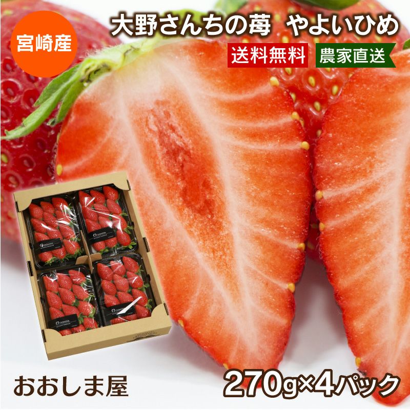 大野さんちの苺 やよいひめ （250g×4パック）＜1月上旬より順次出荷