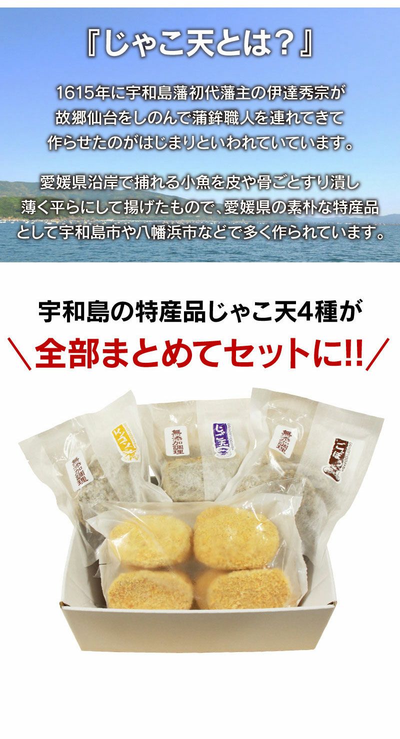 じゃこ天4種セット 