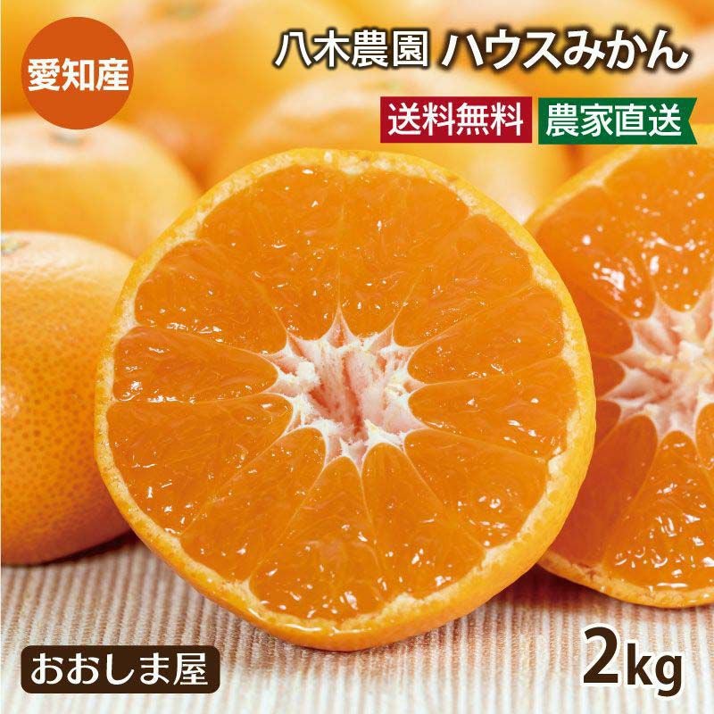 八木農園 ハウスみかん 2kg（21-50玉前後） 送料無料 ＜8月上旬から