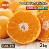 愛知県産 ハウスみかん 2kg