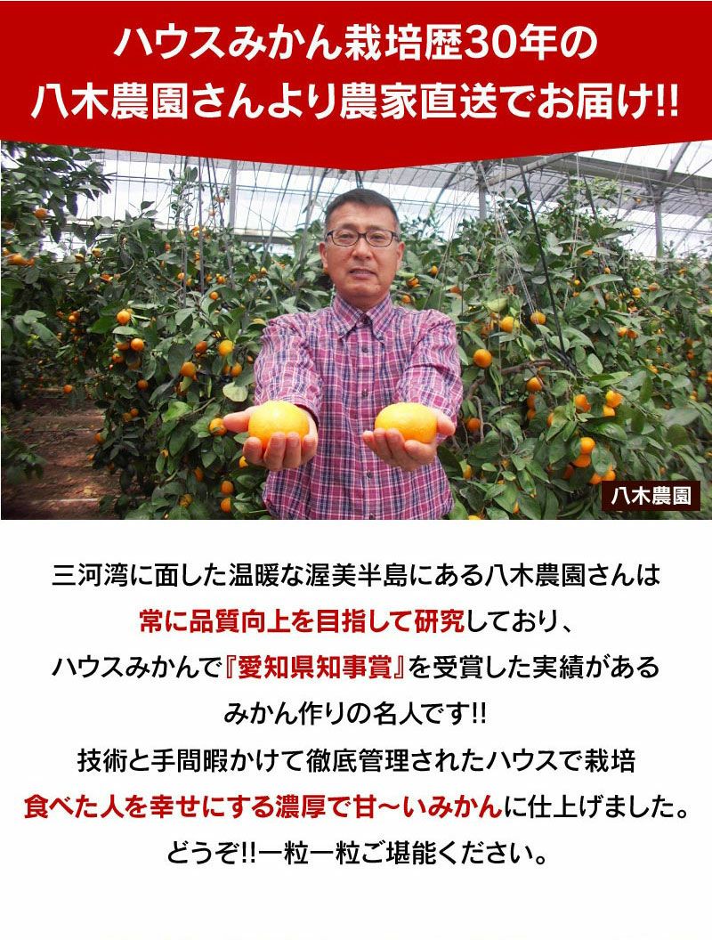 愛知県産 ハウスみかん 2kg