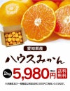 愛知県産 ハウスみかん 2kg