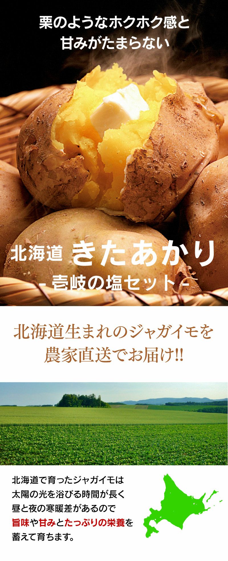 北海道ジャガイモ 北あかり 3kg