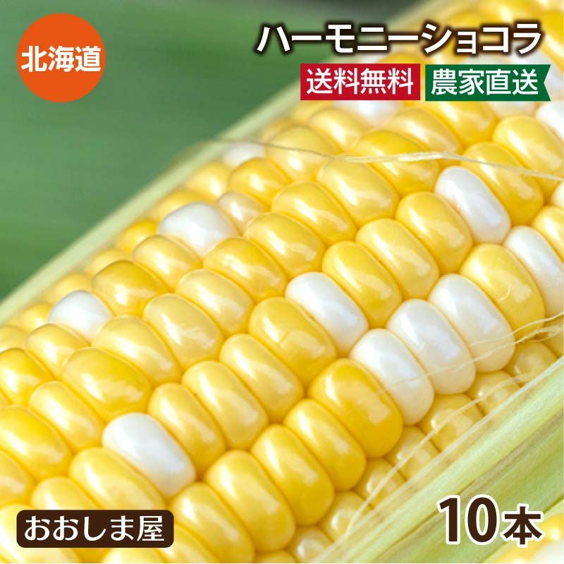 北海道産 とうもろこし ハーモニーショコラ