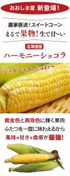 北海道産 とうもろこし ハーモニーショコラ