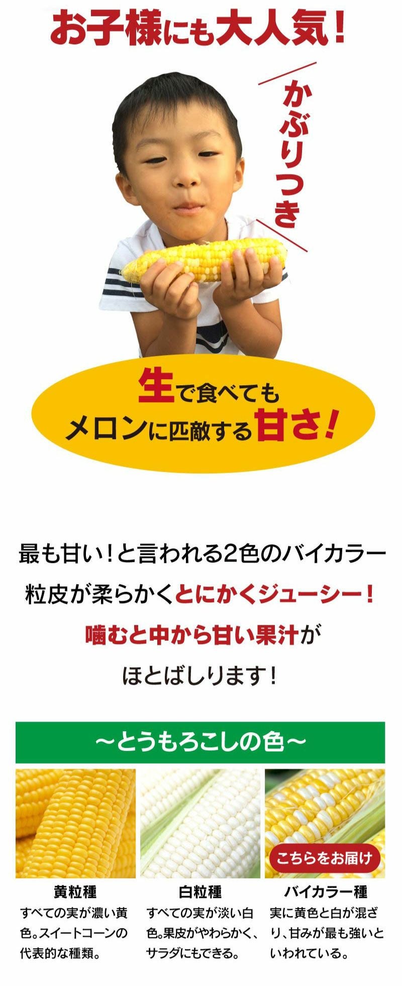 北海道産 とうもろこし ハーモニーショコラ