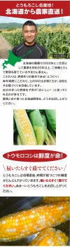北海道産 とうもろこし ハーモニーショコラ