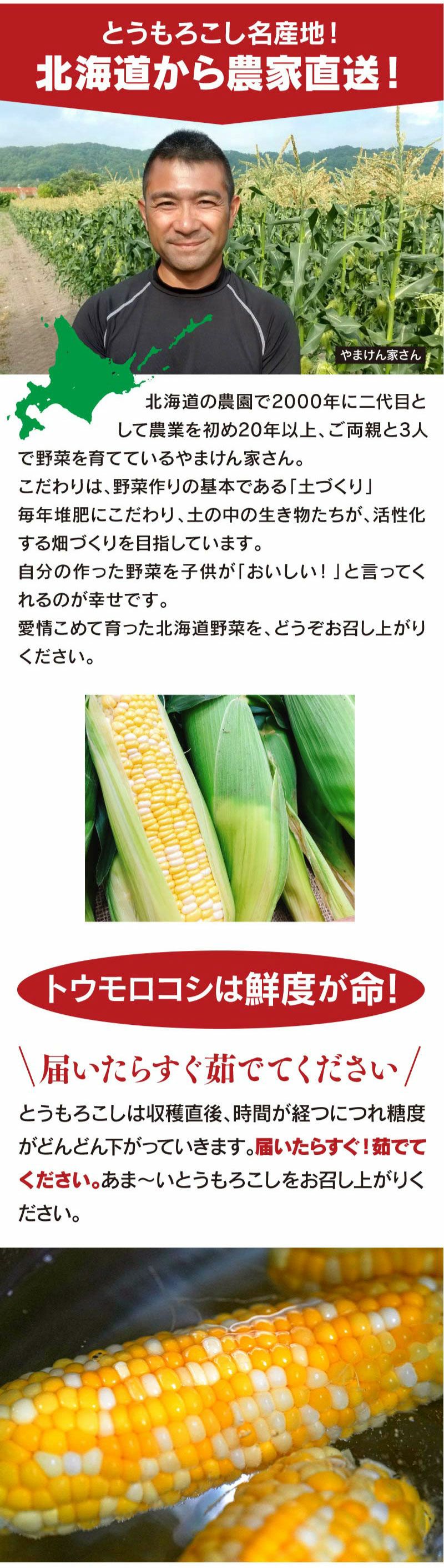 北海道産 とうもろこし ハーモニーショコラ