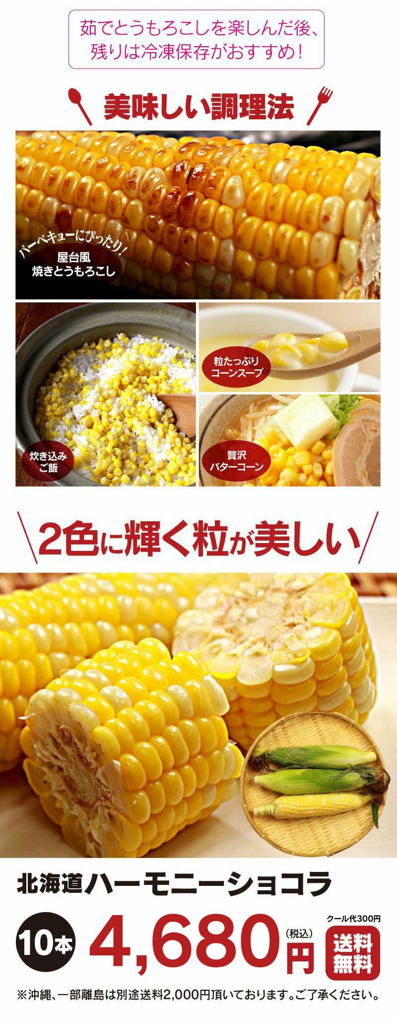 北海道産 とうもろこし ハーモニーショコラ