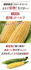 北海道産 とうもろこし 恵味ゴールド