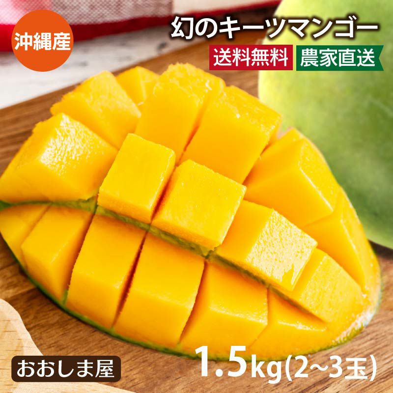幻のキーツマンゴー 1.5kg(大小混合2-3玉) 送料無料 ＜8月中旬より出荷