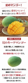 幻のキーツマンゴー