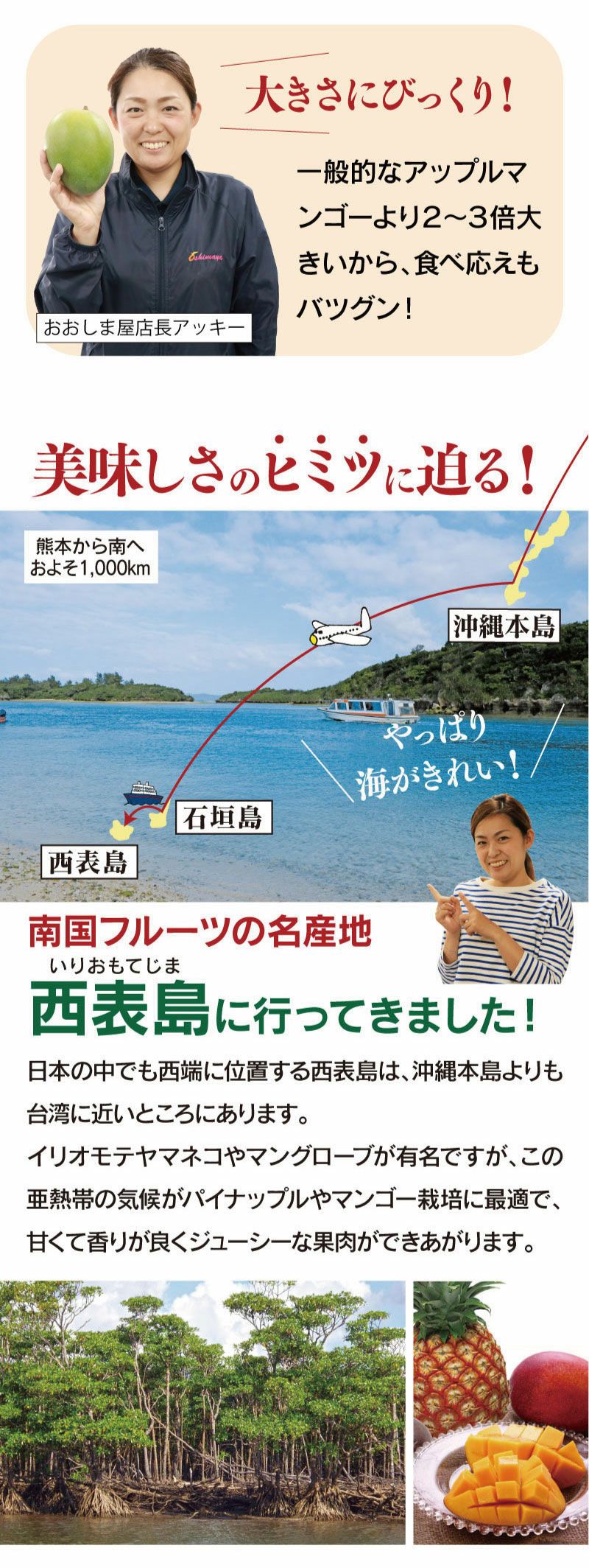 幻のキーツマンゴー