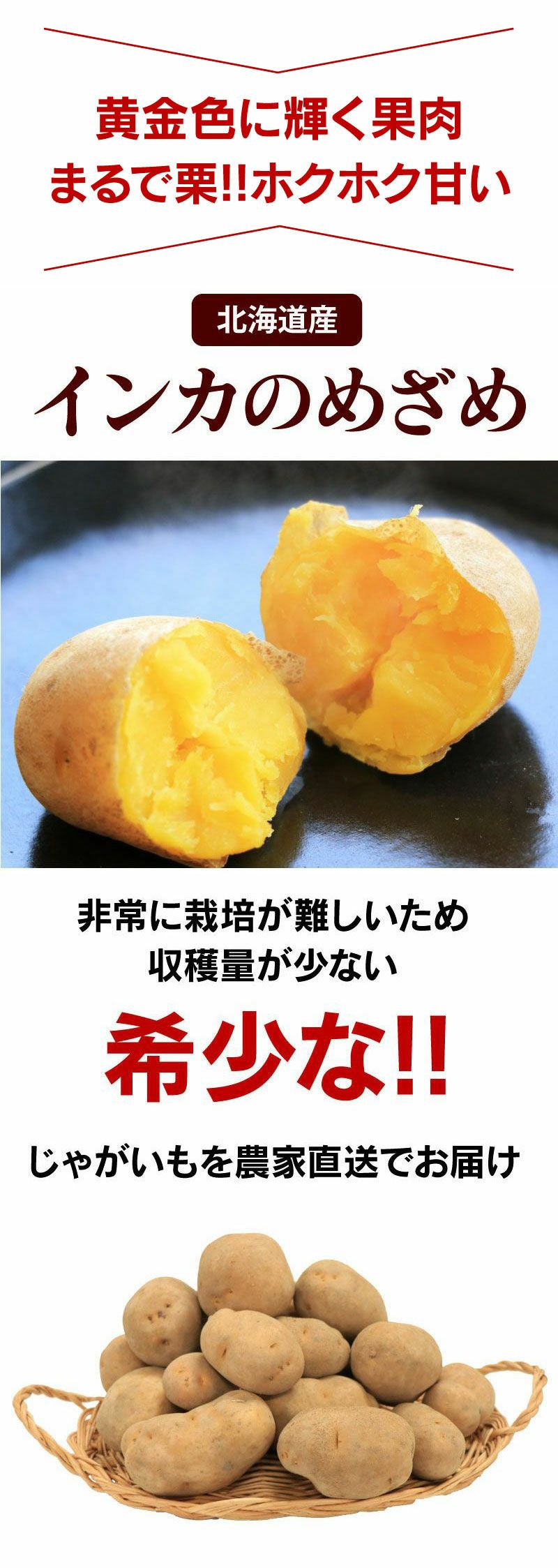 農薬・栽培期間中不使用北海道産インカのめざめ種芋約3kg 北海道ジャガイモ インカのめざめ 3kg（30玉前後）＜7月下旬より順次